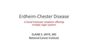 ECD Slide Presentation