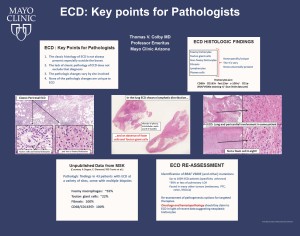 ECD: Key points for Pathologists